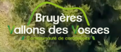 Logo 2026.PNG