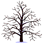 arbre plante_061.gif