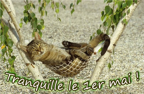 tranquille-le-premier-mai.jpg
