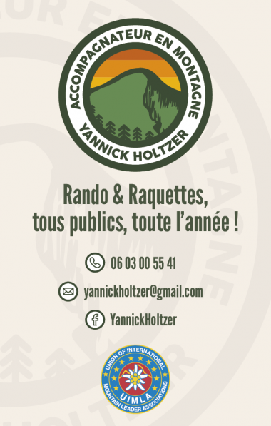 carte de visite (1) Yannick Holtzer.png