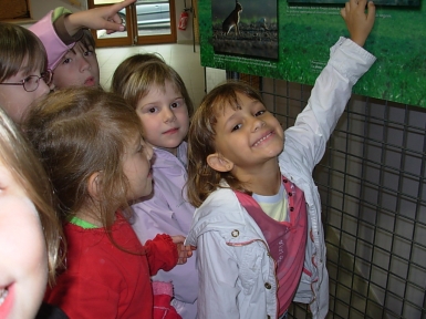 DSCN0264.JPG