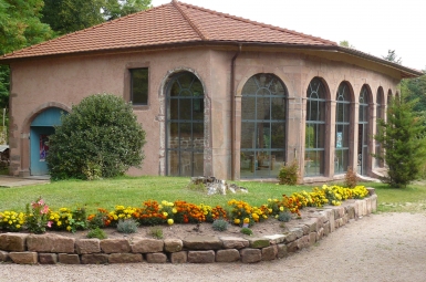 P1240187.JPG