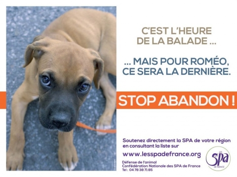Campagne_contre_abandons_SPAdeFrance.jpg