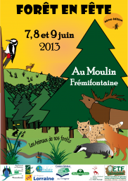affiche FEF 2013 terminée.png