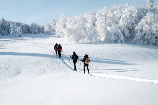 yannick_holtzer_accompagnateur_montagne_vosges (2) crédit photo Section 4.jpg