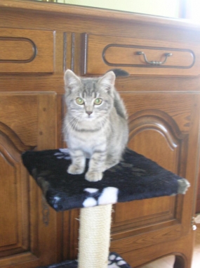 DSCN4203.jpg