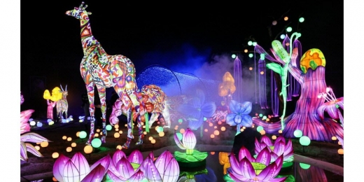 le-festival-des-lumieres-du-zoo-d-amneville-se-tient-jusqu-au-25-mars-photo-rl-gilles-wirtz-1673722559.jpg