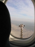 safari-avion-girafe.jpg