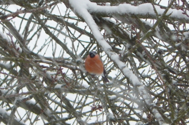 P1050271.JPG
