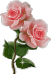 Fleurs roses pot.gif